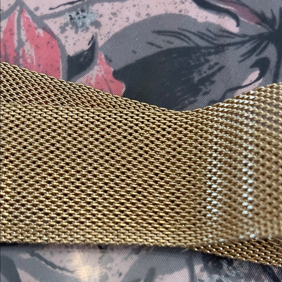 Gold Mesh Belt with Buckle